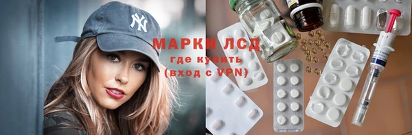 спайс Богданович