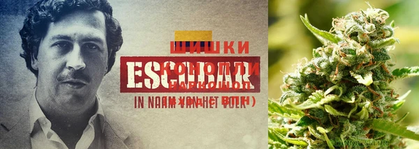 MDMA Premium VHQ Богородицк