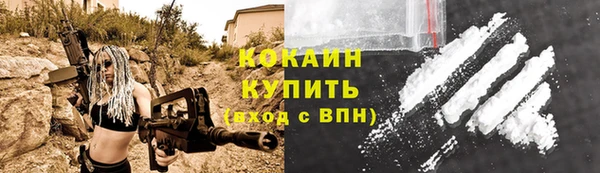 спайс Богданович