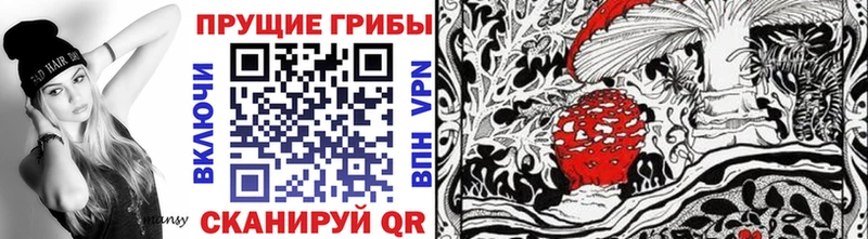 Купить где  Коркино  Галлюциногенные грибы MAGIC MUSHROOMS 
